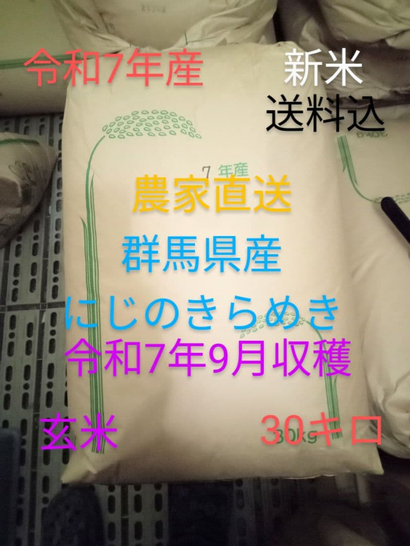 R7年産 新米 群馬県産 にじのきらめき 30キロ 玄米 送料込