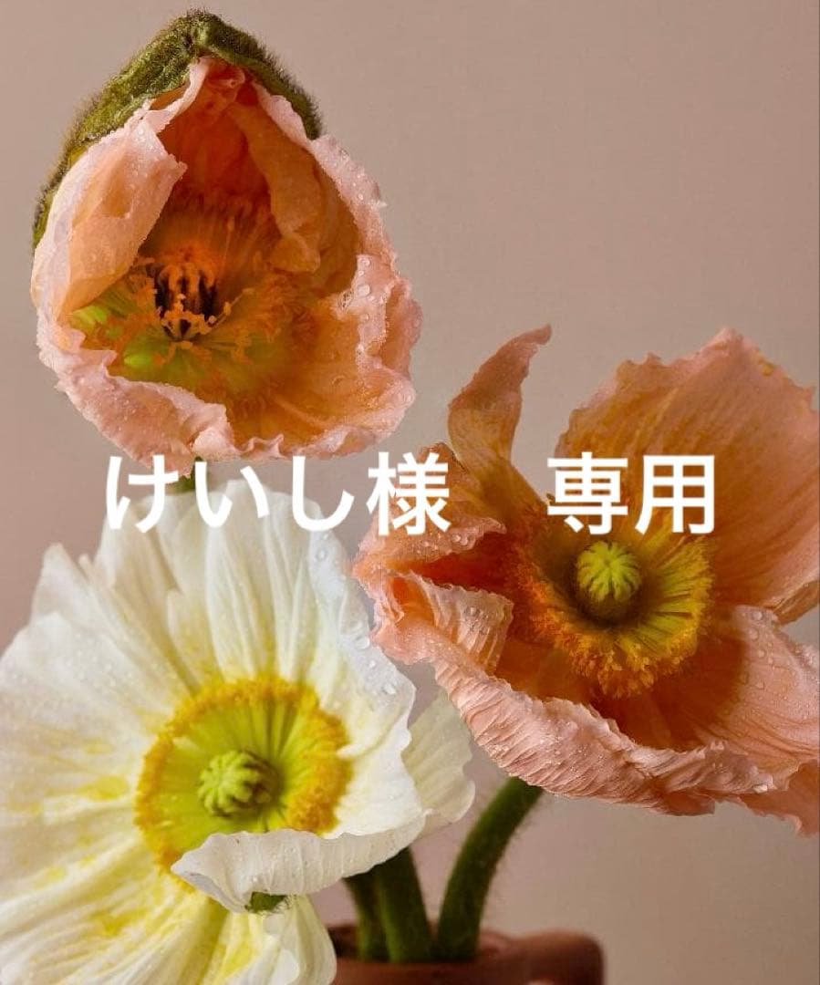 けいし　黒　36