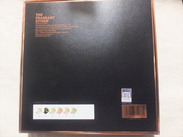 TFZ LIVE X リケーブル可能イヤホン