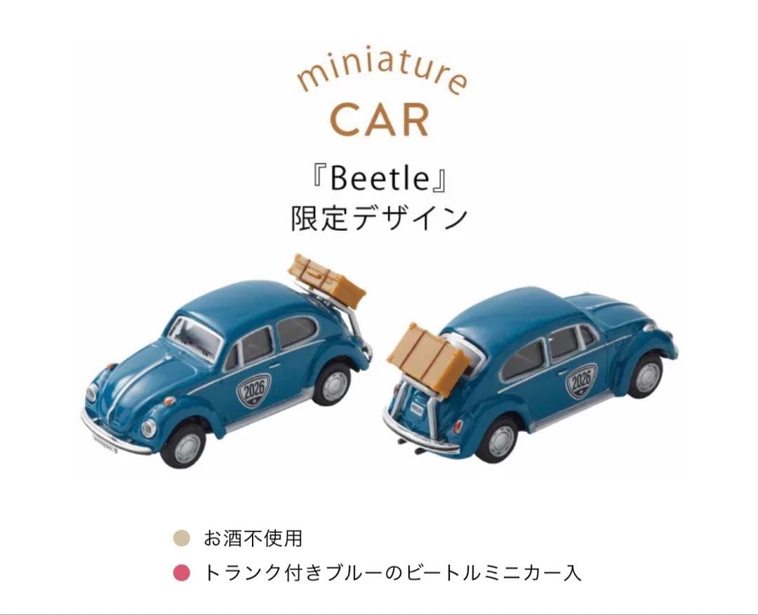 モロゾフ　ビートル　スチールコンテナ　& トラベルバッグ