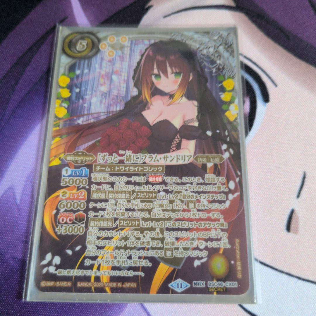 [ずっと一緒に]フラム・サンドリア　シークレット