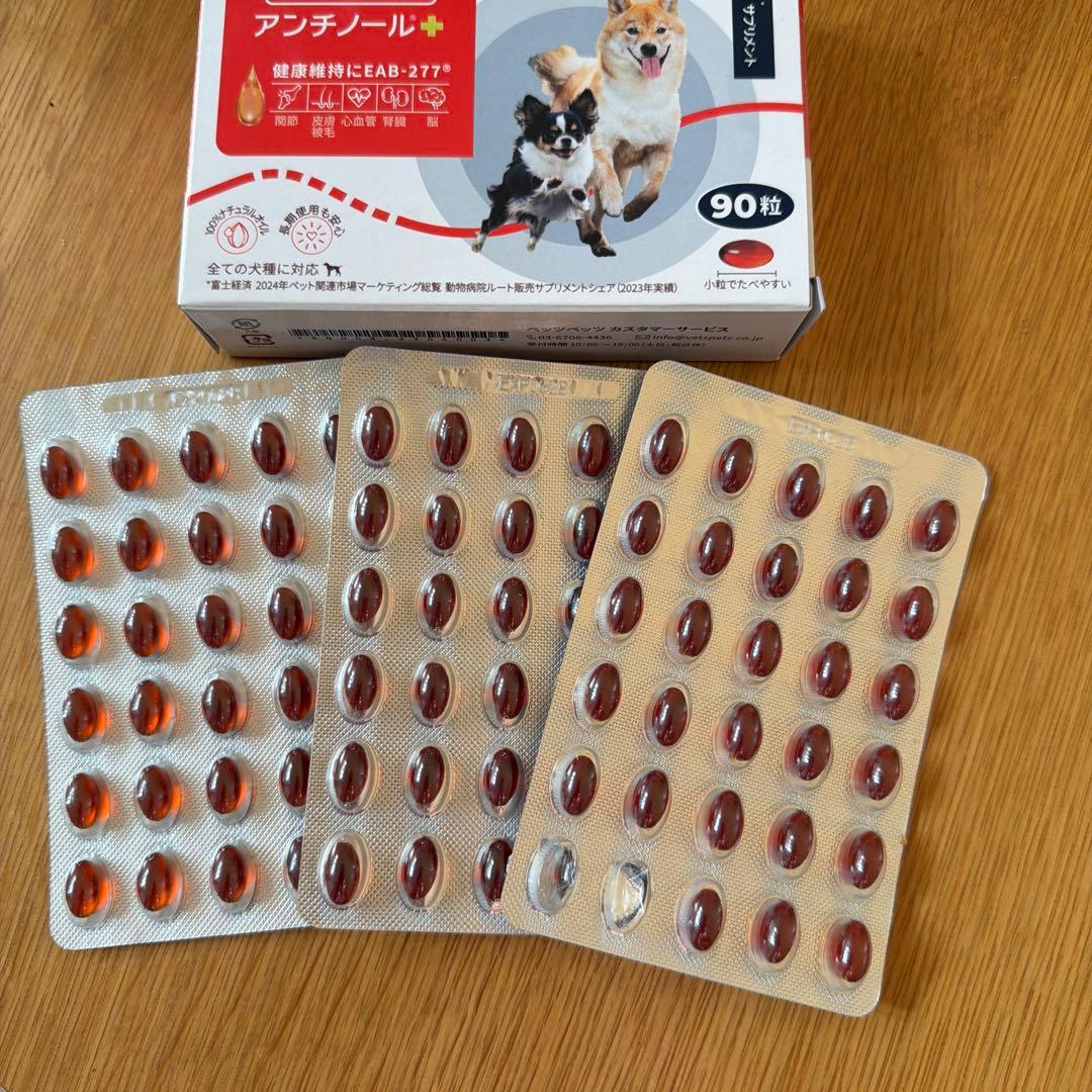 アンチノールプラス　88粒