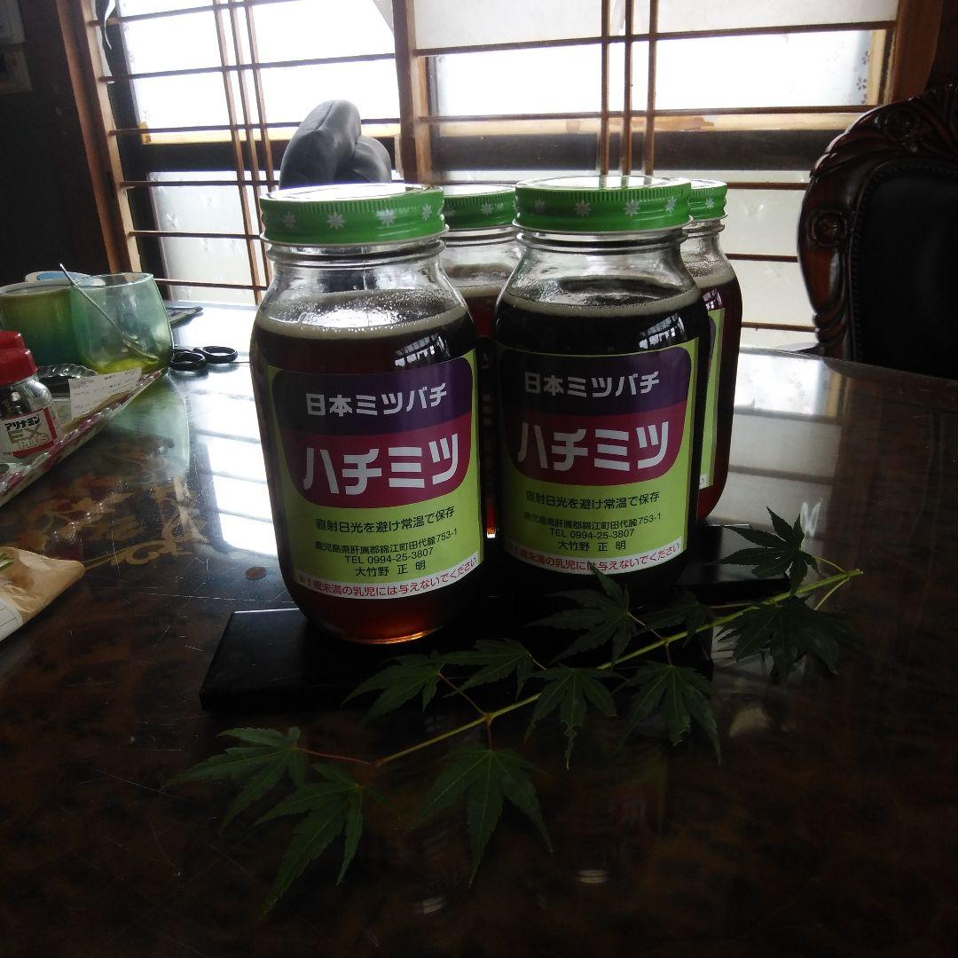 日本ミツバチはちみつらツ