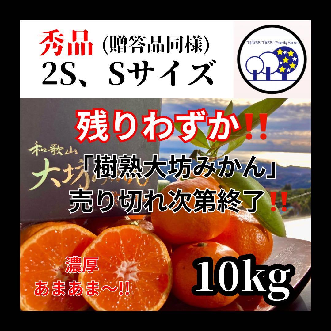 ⑥温州みかん 樹熟大坊みかん 秀品(贈答品同様)2S、Sサイズ10kg