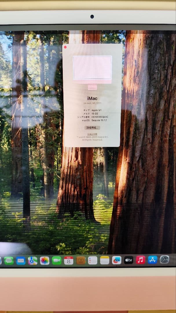 【ジャンク】iMac 2021 M1 16GB SSD256 ピンク 24インチ