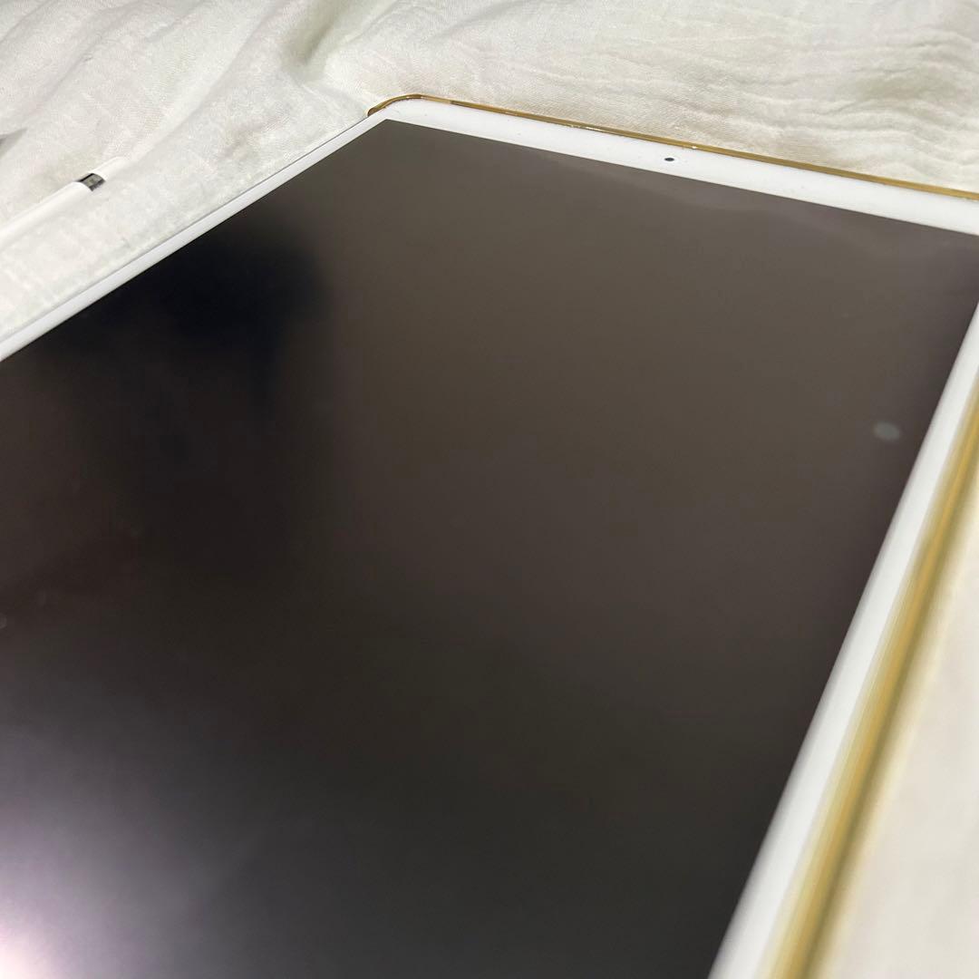 iPad本体 ホワイト + Apple Pencil用ペン先