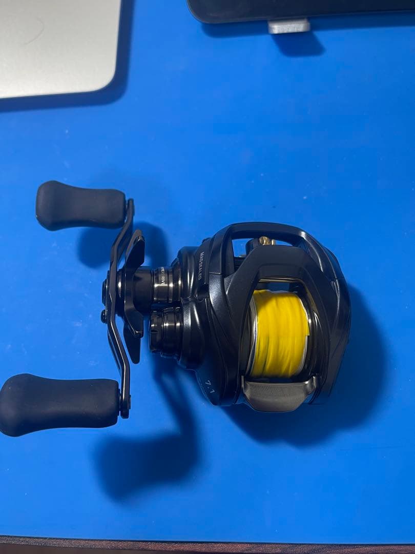リール DAIWA STEEZ A2 TW 1000HL