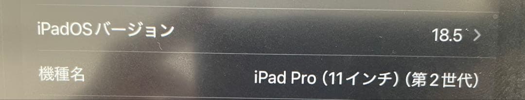 iPad Pro 第2世代 11インチ128GB中古品 付属品あり