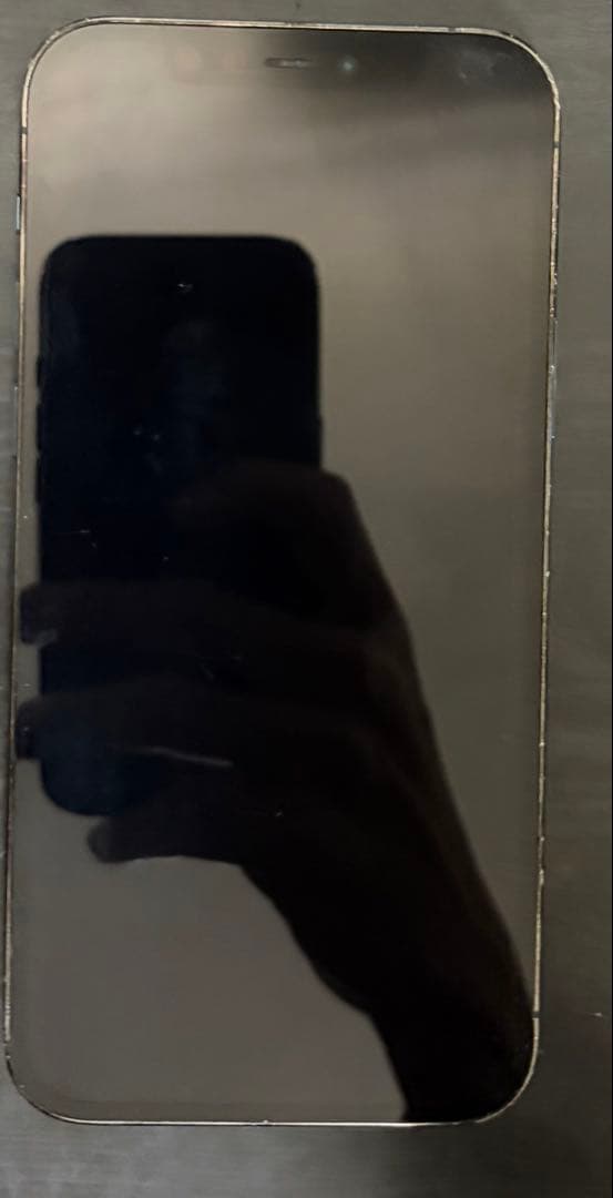 スマートフォン本体 iPhone 12Pro