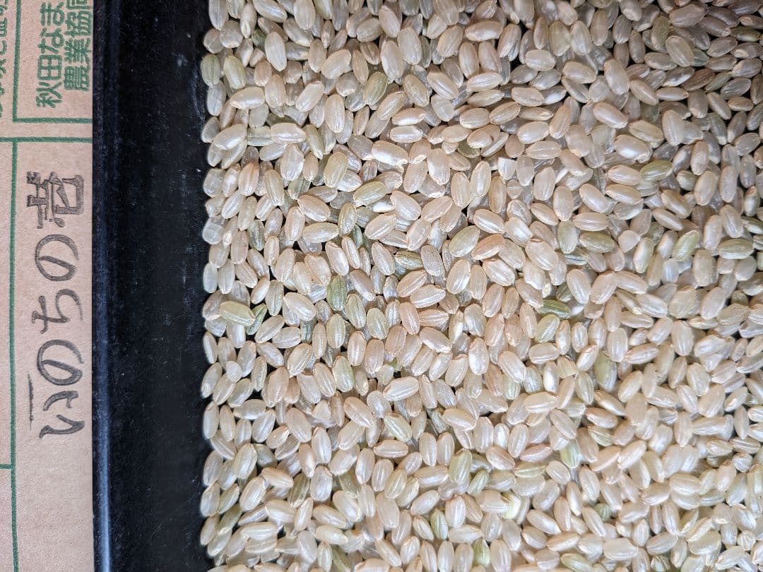 専用！精米代込み農家直送！最高級品種！いのちの壱玄米29キロ　7年産