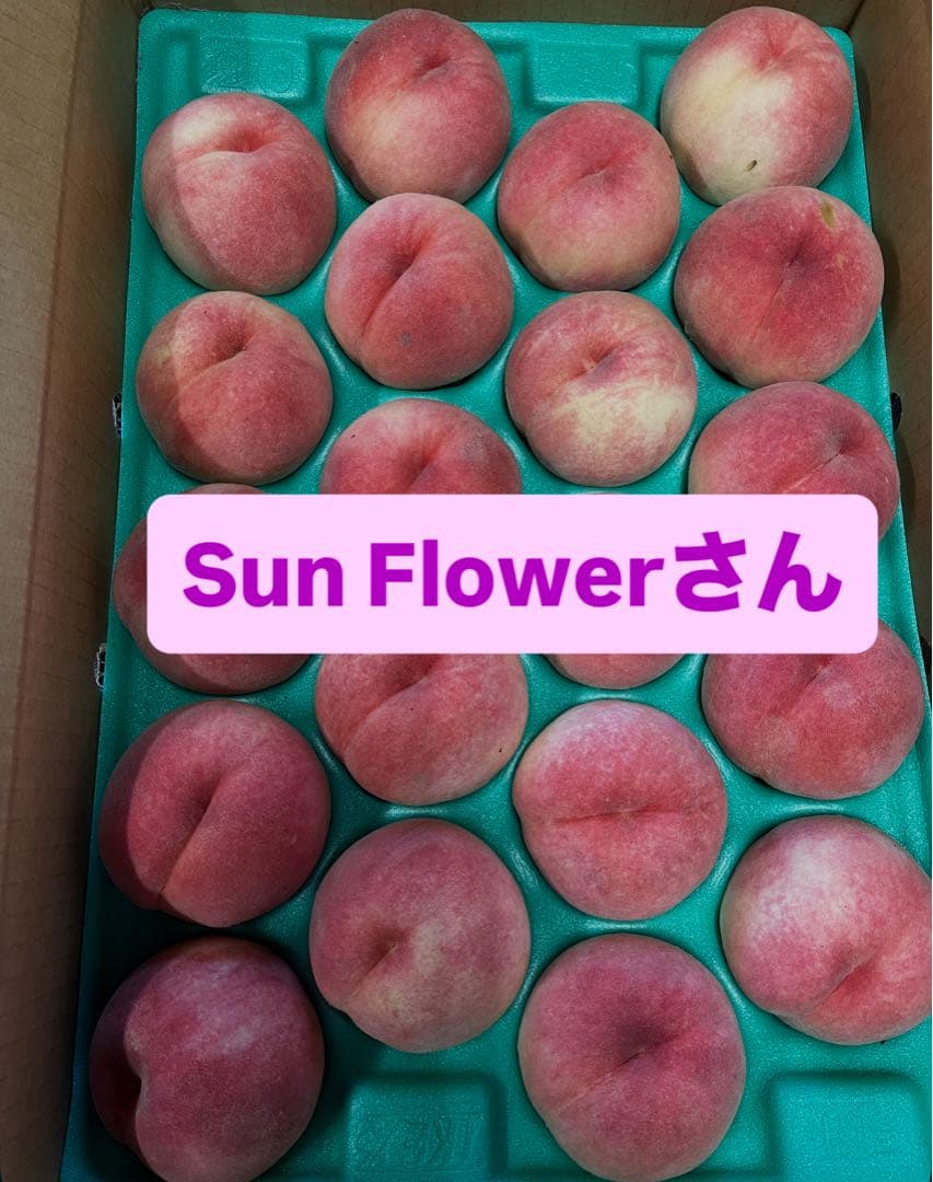 Sun Flowerさん 2箱同梱発送