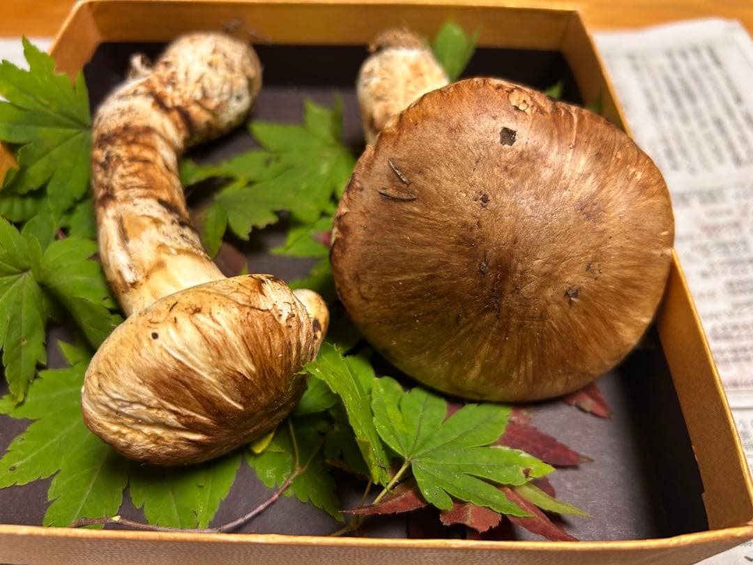 ＊山形県産＊ 松茸　107g