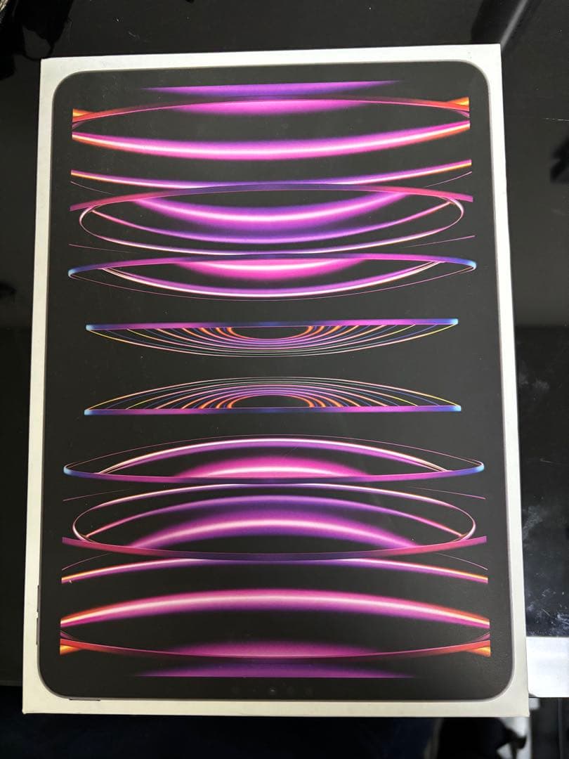 iPad Pro 11インチ スペースグレー 本体