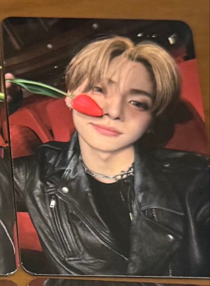 ALD1 サンウォン　サノク　トレカ