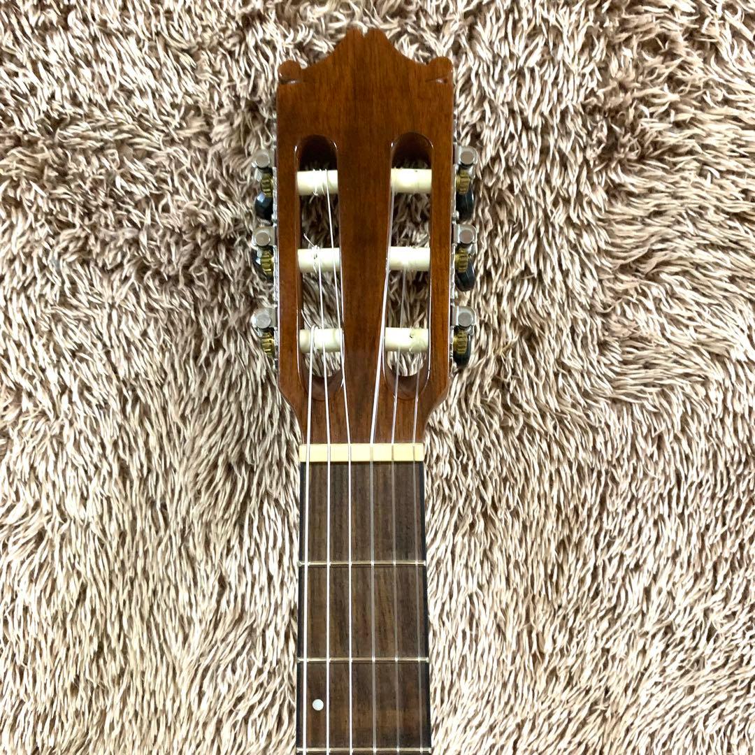 【外観美品・ジャンク】アイバニーズ　GA-30TCE/NT エレガットギター