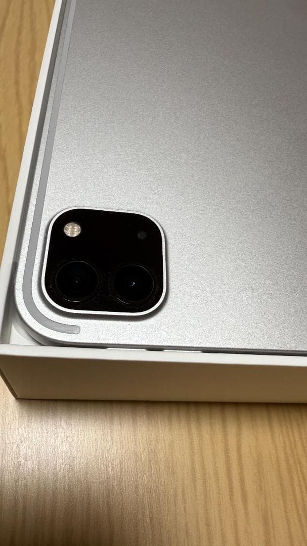 iPad Pro 12.9（第５世代）256GB Wi-Fiモデル