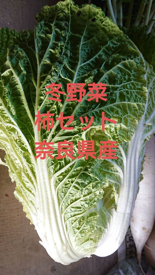 冬野菜、御所柿セット奈良県産