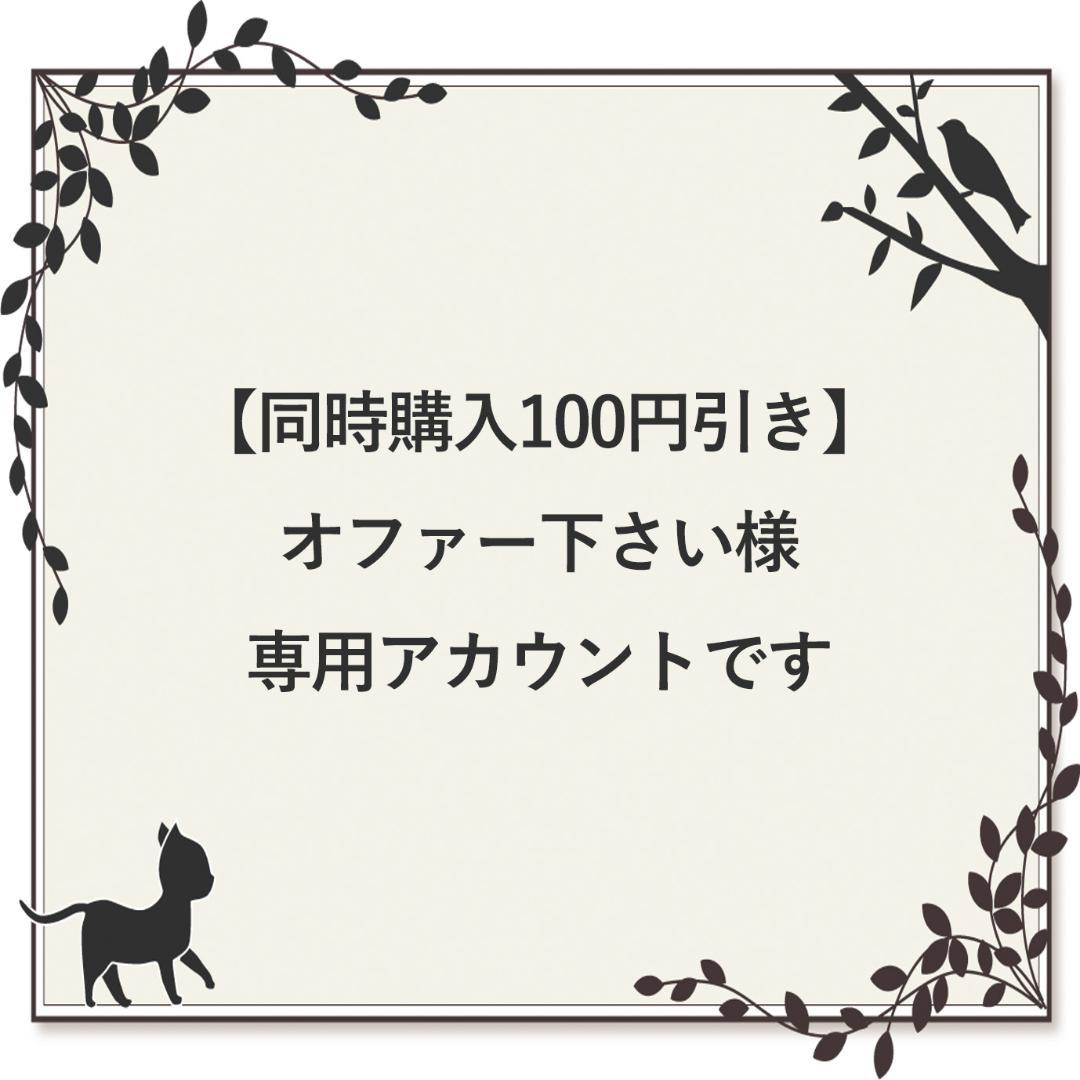 【同時購入100円引き】オファー下さいアカウントです