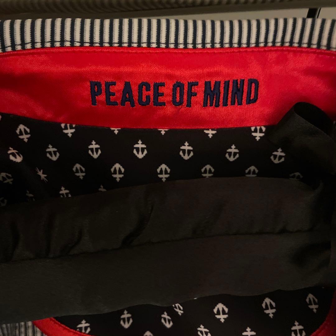 レジィーナロマンティコ シアサッカーストライプ ジャケット 36