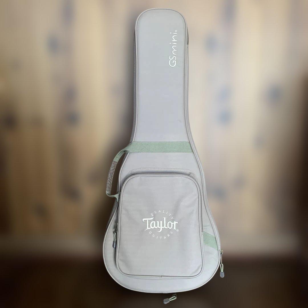 Taylor GS Mini ケース付