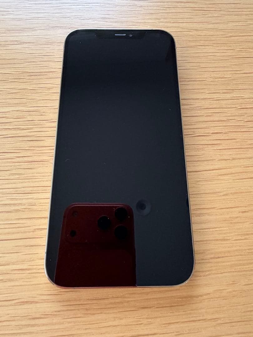 Apple iPhone 12 Pro Max オマケ付き