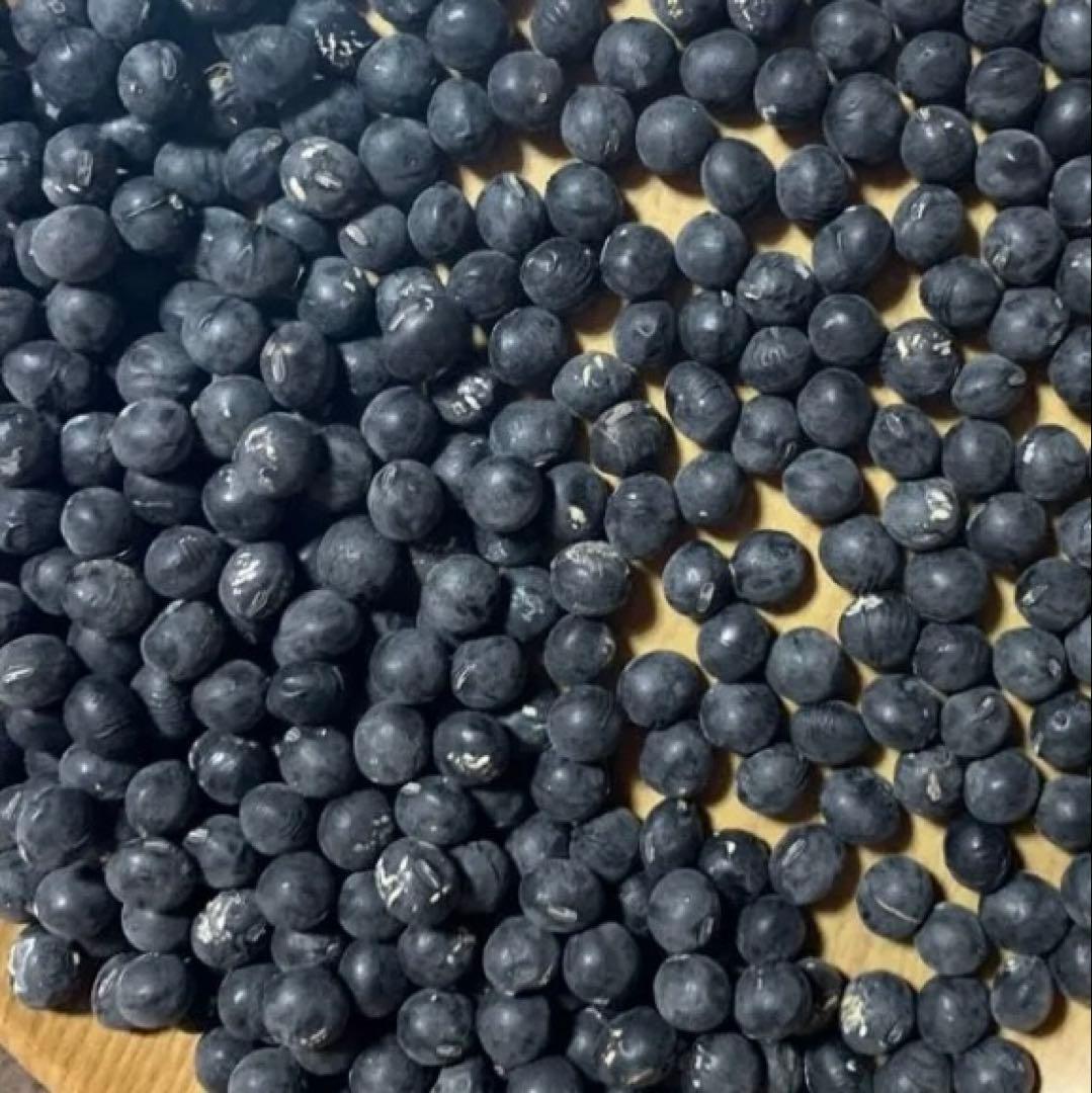 4キロです。こちらは等級大、令和7年度、新物 兵庫県産 丹波黒豆 丹波黒大豆