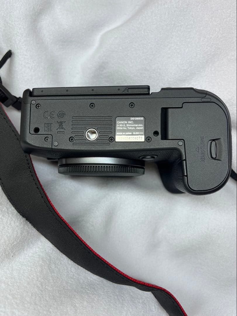 Canon EOS R6 + レンズ Canon RF 24-105mm STM