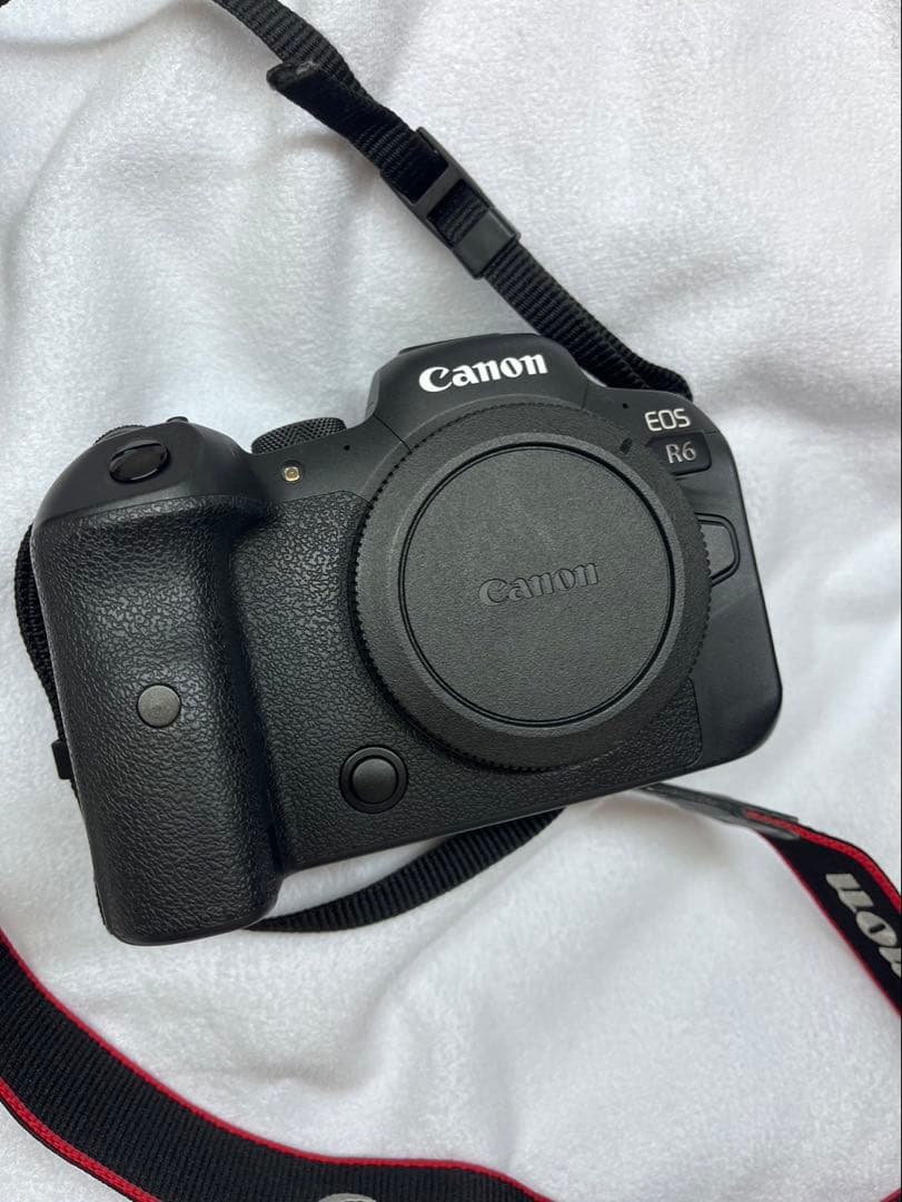 Canon EOS R6 + レンズ Canon RF 24-105mm STM
