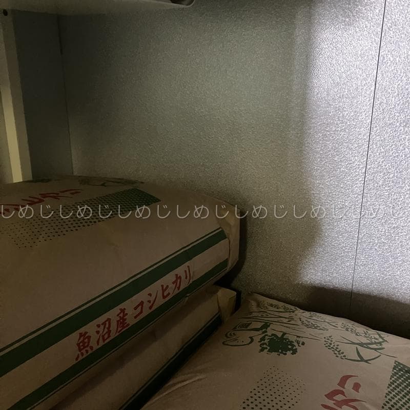 魚沼産コシヒカリ　令和7年産　白米　10キロ　米農家直送①