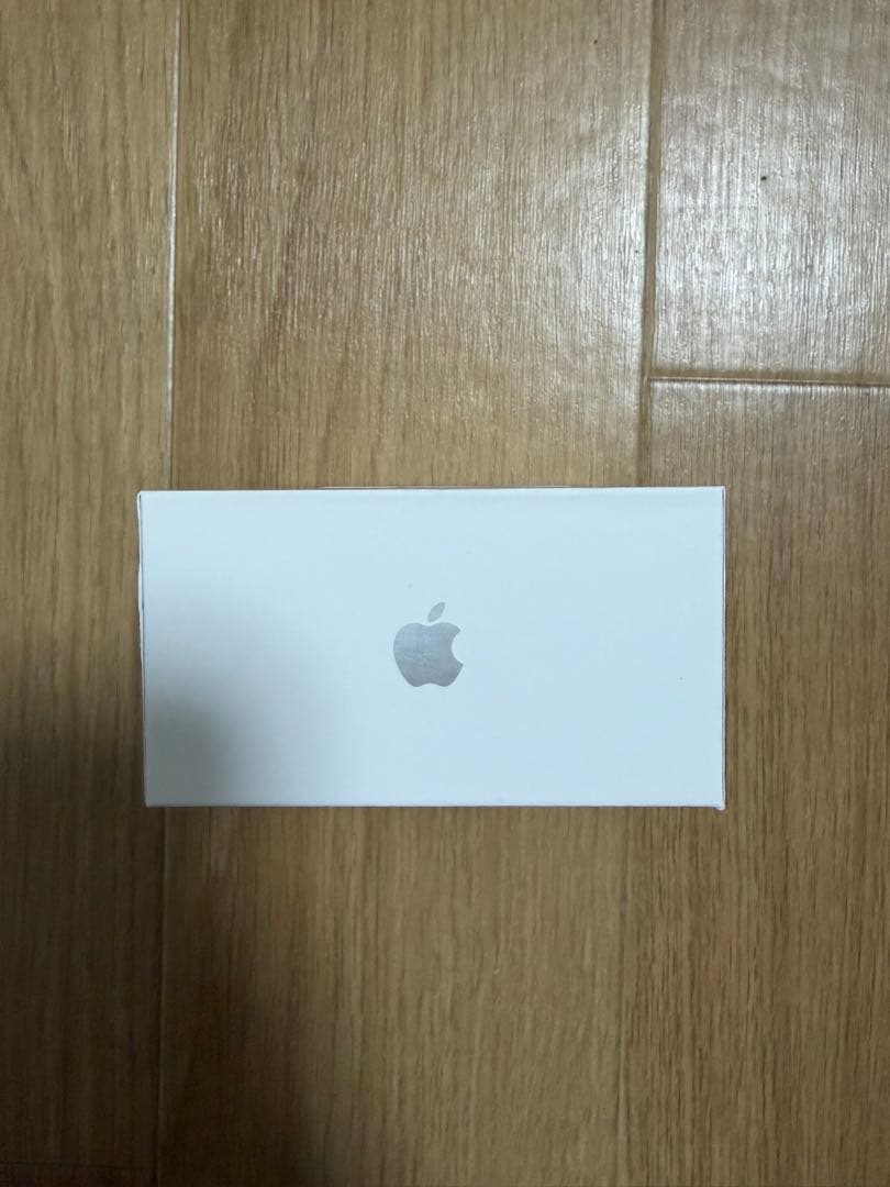 Apple AirPods Pro 3 本体　第３世代