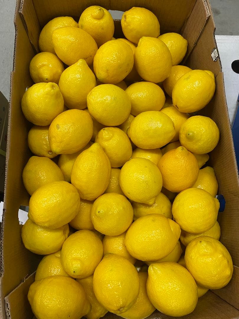レモン　18キロ チリ産　お値打ち　正規品