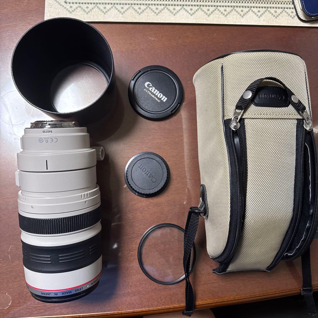 C*プ様 Canon EF 100-400mm f/4.5-6.3L IS US