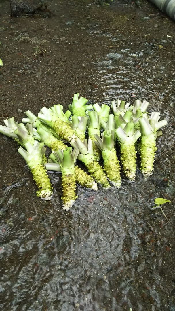 雪だるまページ