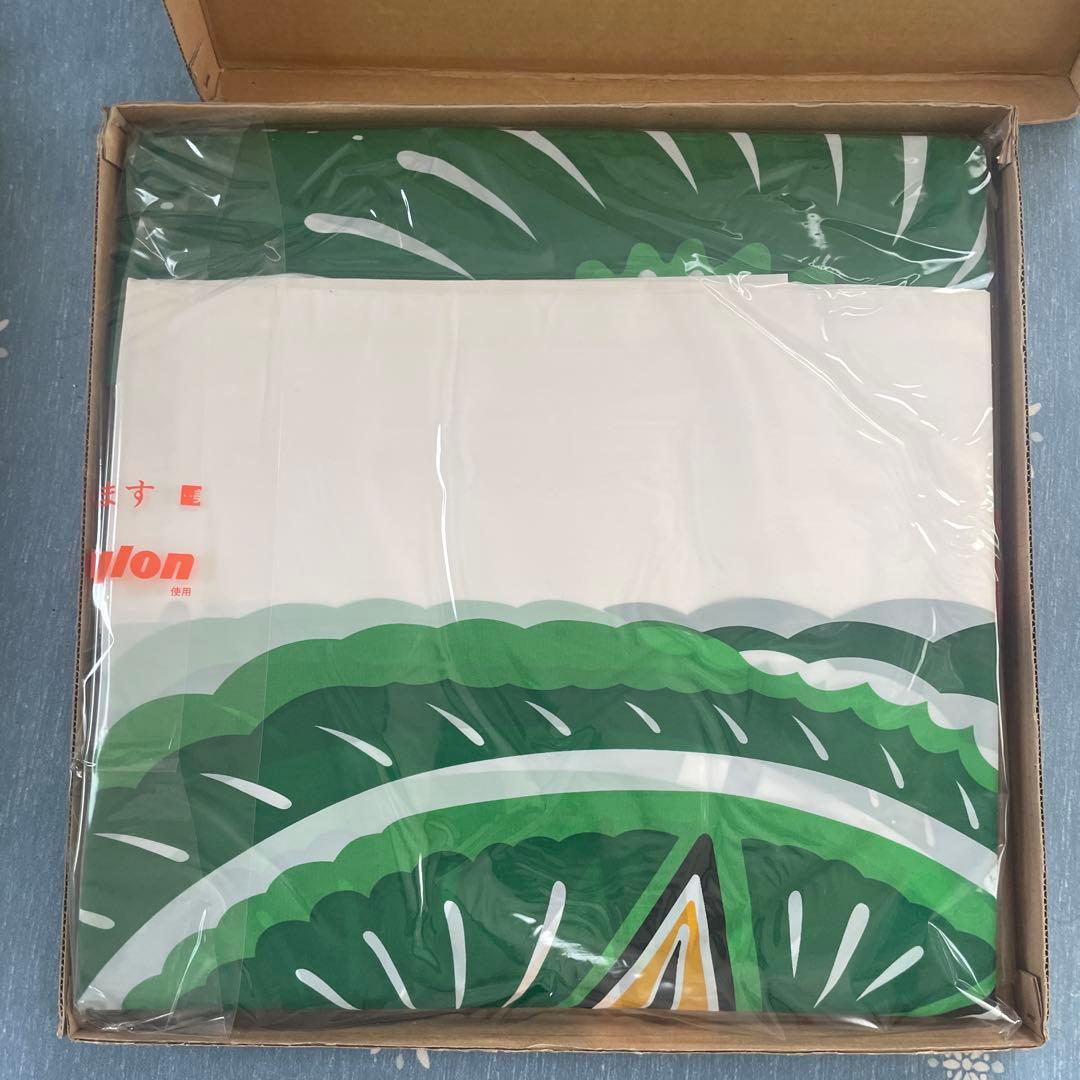 ナイロン製 鯉のぼり 6M 緑