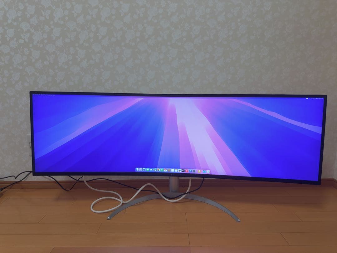 LGエレクトロニクス49WQ95C-W [49インチ]モニター中古品