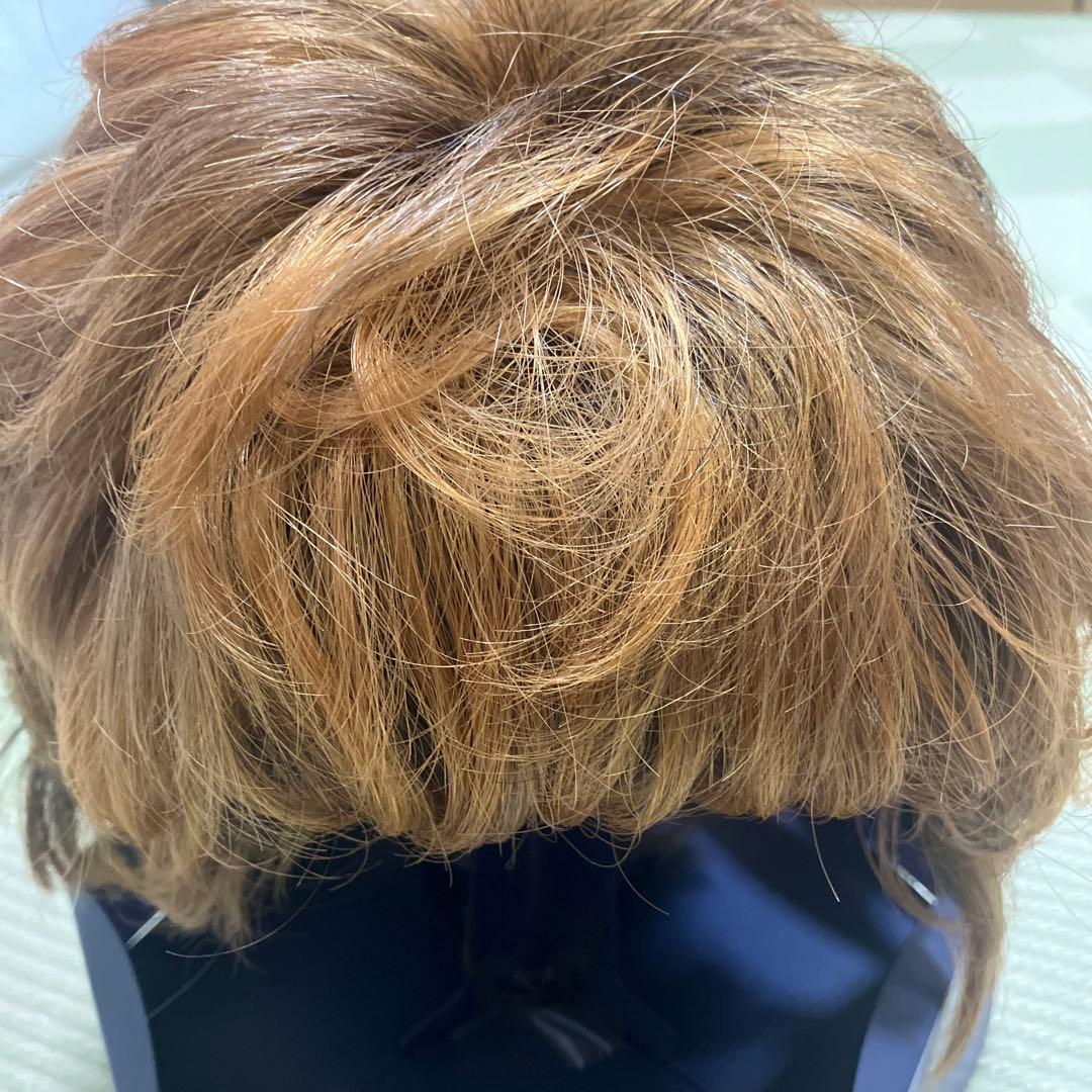 VALAN ヴァラン 人毛 ウィッグ ブラウン系 クリップ付き 中古