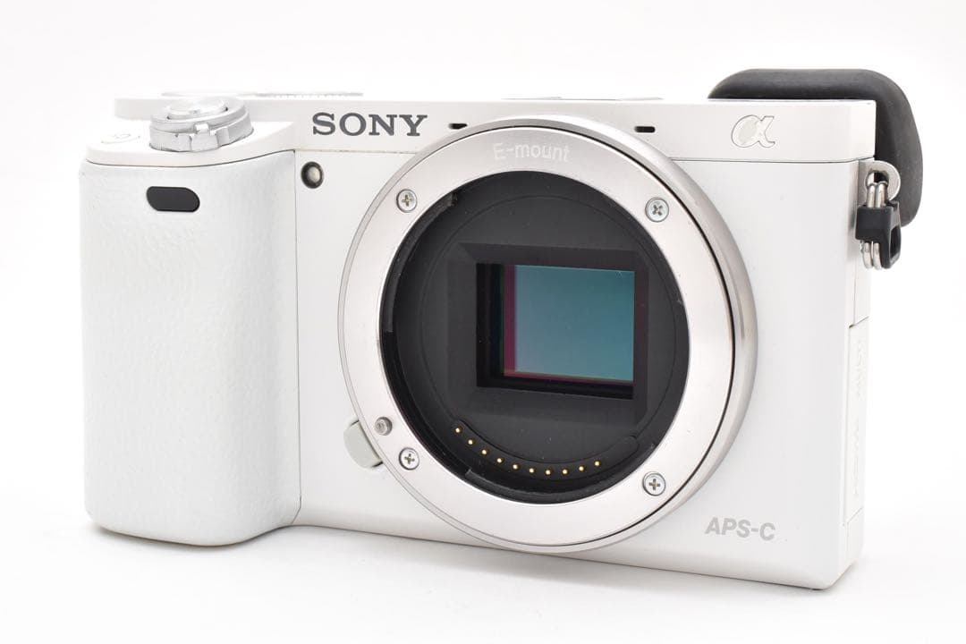 ショット数 8490回 ソニー SONY α6000 ダブルズームキット