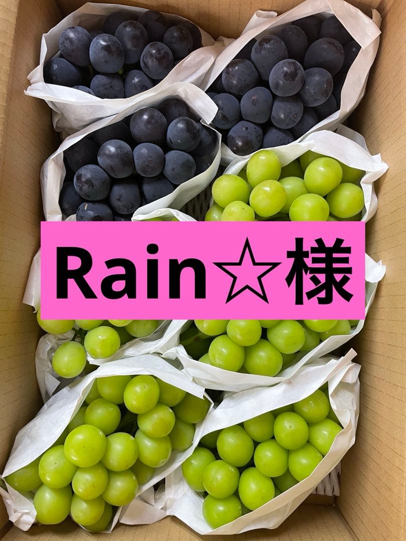 Rain☆ ★巨峰とシャインマスカット4キロ