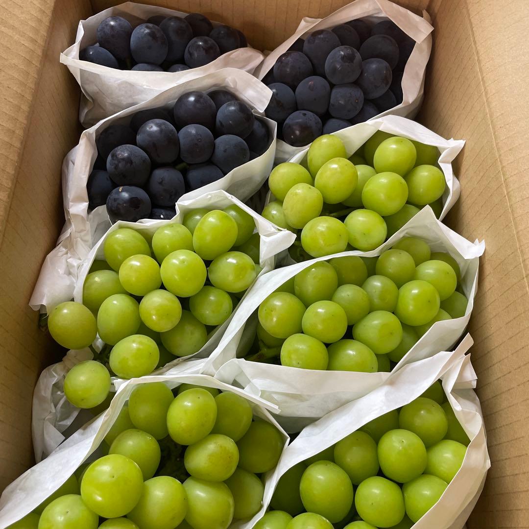 Rain☆ ★巨峰とシャインマスカット4キロ