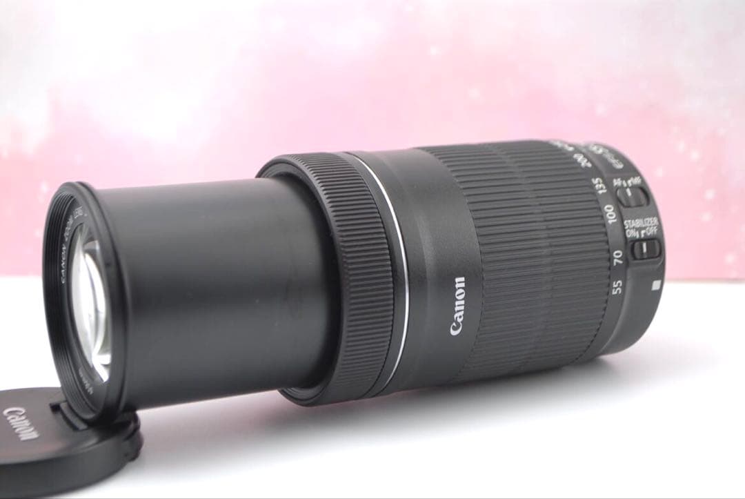⭐最新望遠レンズ⭐EF-S 55-250mm IS STM 一眼レフ 望遠レンズ