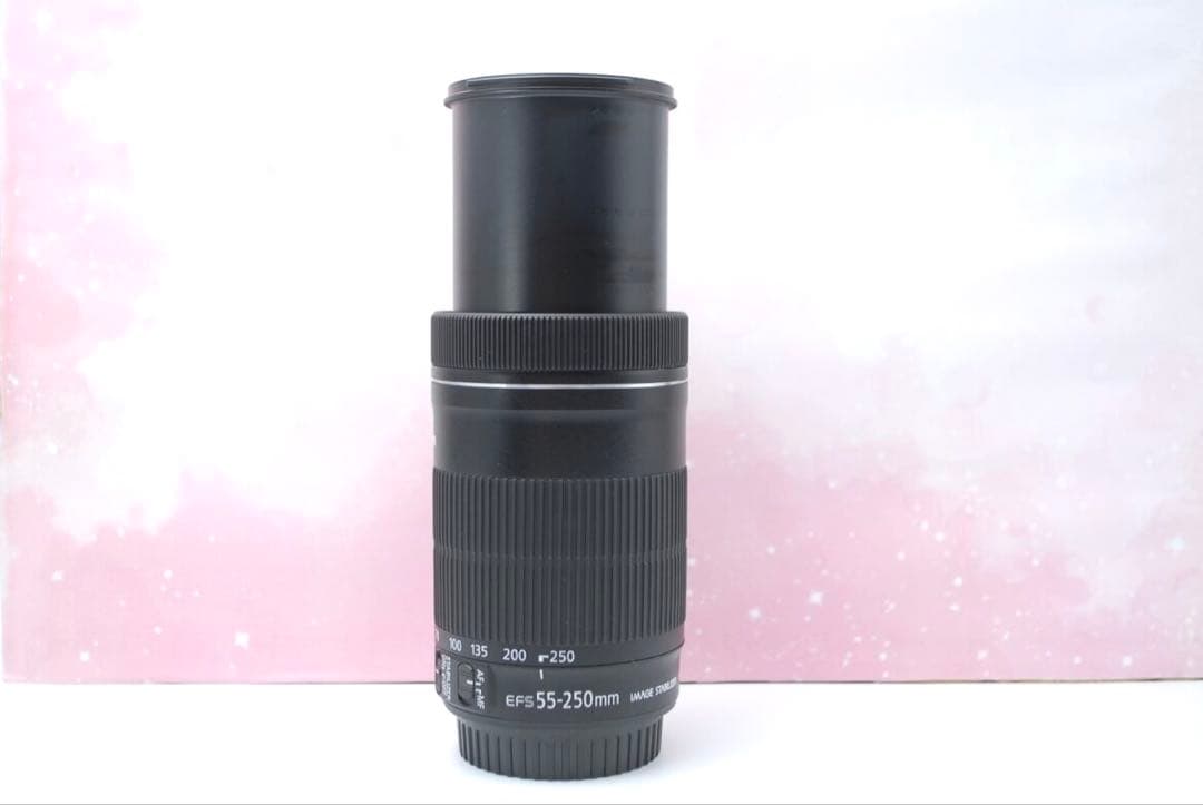 ⭐最新望遠レンズ⭐EF-S 55-250mm IS STM 一眼レフ 望遠レンズ