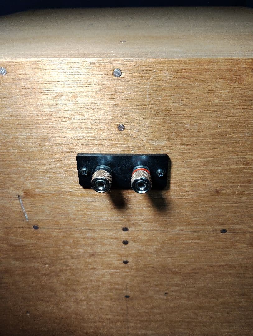 Visaton 20cm W200S＋D-50 バックロードホーンスピーカー