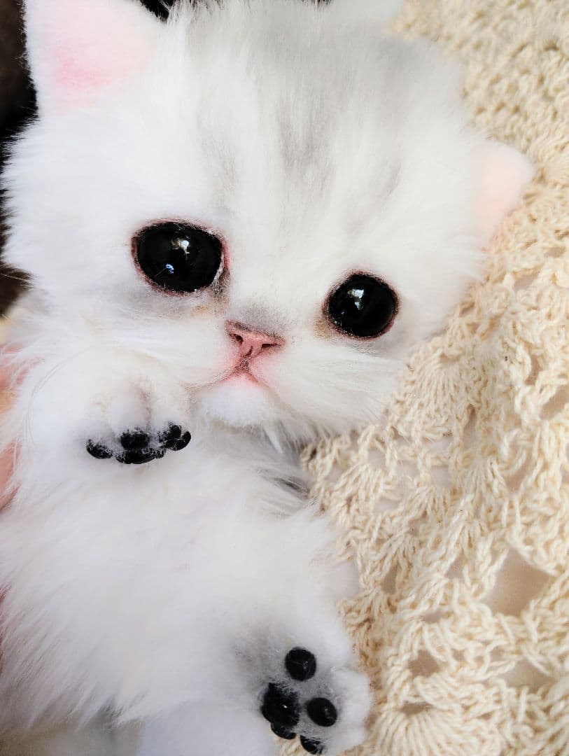 チンチラシルバー♡子猫のララちゃん♡アートドール♡ぬいぐるみ♡