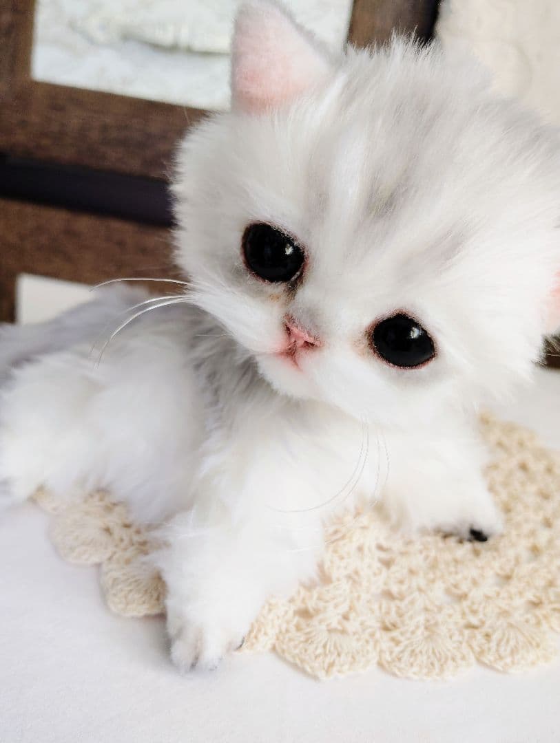 チンチラシルバー♡子猫のララちゃん♡アートドール♡ぬいぐるみ♡