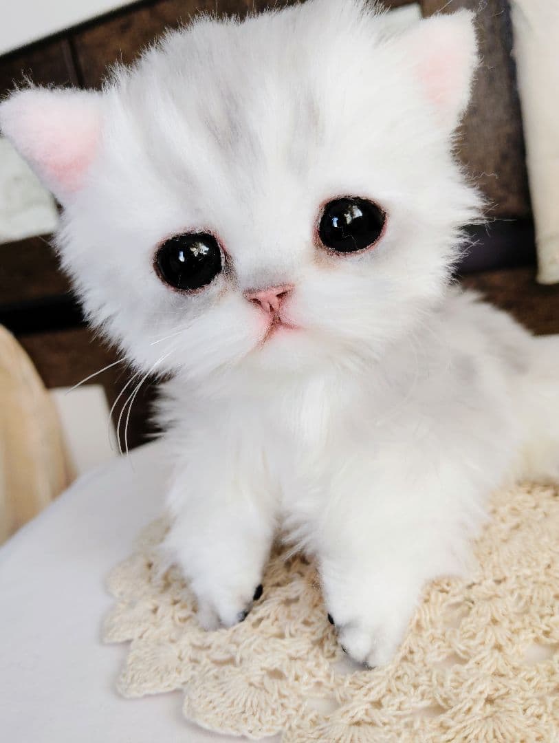 チンチラシルバー♡子猫のララちゃん♡アートドール♡ぬいぐるみ♡