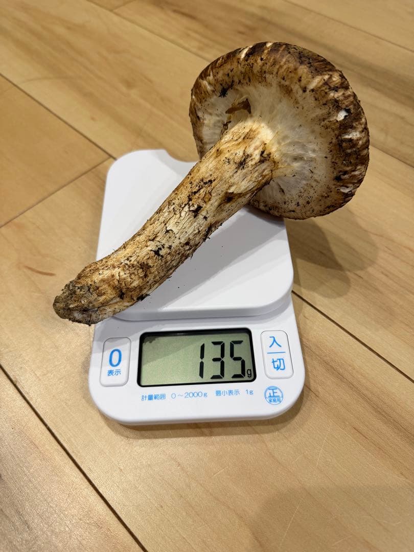 松茸135g岡山県北産