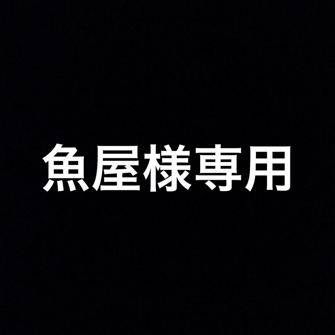 魚屋　2025 04105 美品 MacBook Pro マックブック