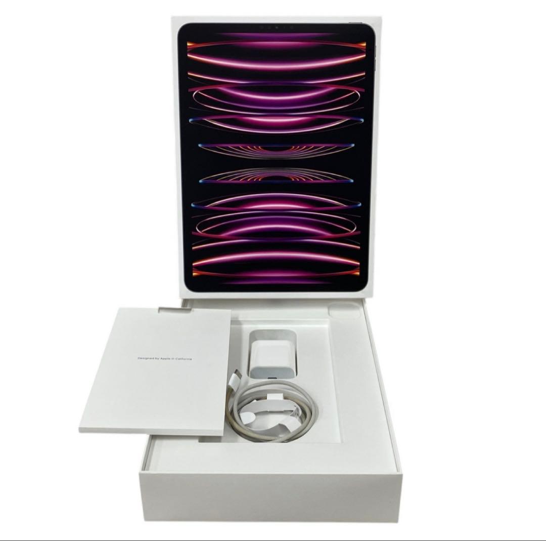 iPadPro11インチ第4世代256GB