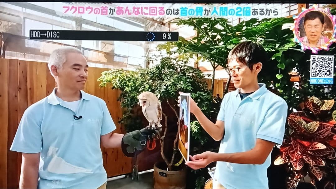 取扱説明書付属！スグ使えるセット！HDD増設可！東芝HDD＆BDレコーダー