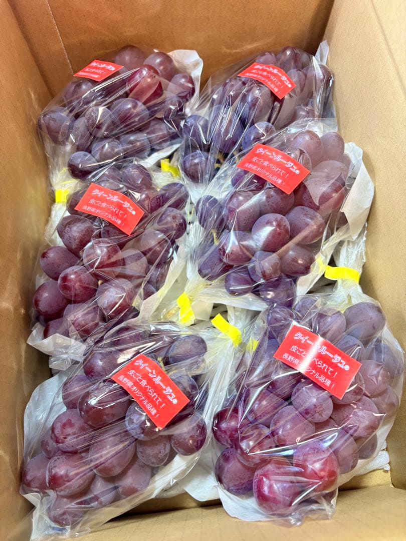 りっちゃん　クイーン、シャイン